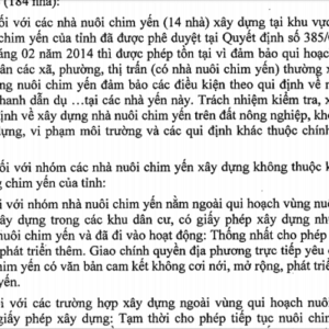 Ninh Thuận: Tiếng ríu rít của chim yến tra tấn, người già, trẻ em không ai được yên-Yensaodongduong.com