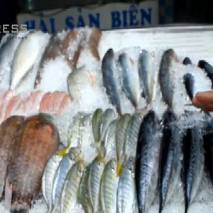 Dấu hiệu nhận biết cá bị ướp hàn the-Yensaodongduong.com